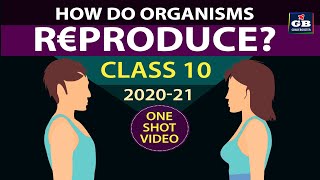 How do organisms Reproduce class 10 fullchapter  Class 10th CBSE biology  ncert class 10 science [upl. by Raff12]