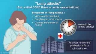 Diagnosis and Evaluation of COPD [upl. by Paluas727]