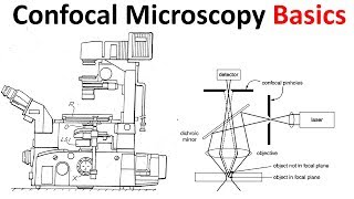 Confocal microscopy Basics [upl. by Miriam]