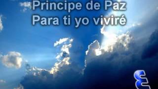 LC Tu eres santo principe de paz Javier sa [upl. by Llezniuq750]