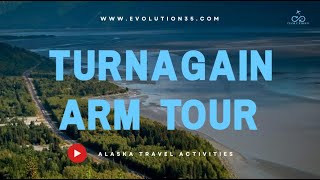 Turnagain Arm Scenic Tour  Alaska Activity [upl. by Debee]