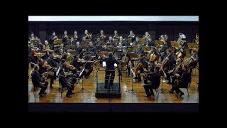 ORCHESTRA HYMNS BELÍSSIMA INTERPRETAÇÃO DOS HINOS CCB VOL 01 [upl. by Eugenius707]