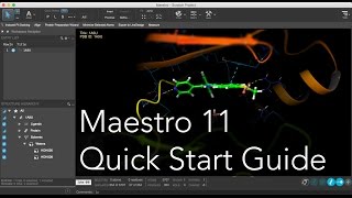 Maestro  Quick Start Guide outdated [upl. by Seraphim]