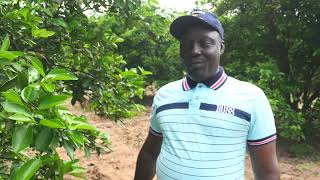 JnA2019 Agriculteur Modèle dans la filière Agrumes [upl. by Farley]