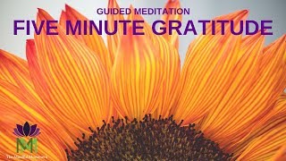 5 Minute Guided Meditation for Gratitude  Mindful Movement [upl. by Chelsea356]