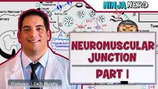 Musculoskeletal System  Neuromuscular Junction  Neuromuscular Transmission Part 1 [upl. by Dreyer197]