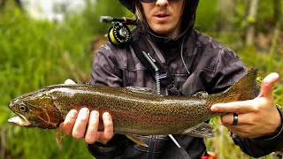 Fly Fishing for HUGE Rainbow Trout in Alaska [upl. by Carlile]