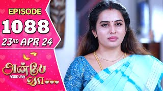 Anbe Vaa Serial  Episode 1088  23rd April 24  Virat  Shree Gopika  Saregama TV Shows Tamil [upl. by Trbor]