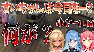 【星街すいせい】すいちゃんは今日もー？小さーいｗ「何が小さいって…？」【切り抜きホロライブ】 [upl. by Sugar]