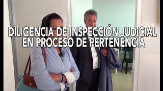 DILIGENCIA DE INSPECCIÓN JUDICIAL EN PROCESO DE PERTENENCIA PASO A PASO ¿QUÉ SE HACE [upl. by Boys]