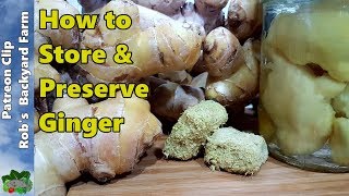 7 Ways to Store GINGER or Turmeric [upl. by Nallac]