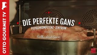 Gänsebraten perfekt zubereiten [upl. by Suoirad11]