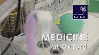 Medicine at Oxford University [upl. by Burack]