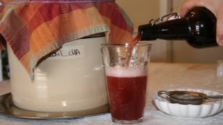 How to Make Fizzy Kombucha at Home [upl. by Jeremie188]