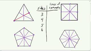 Lines of Symmetry in Regular Polygons [upl. by Iadam78]