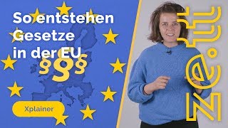 So entstehen Gesetze in der Europäischen Union [upl. by Houston]