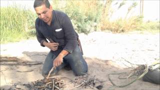 Desert Survival Food Cattails Typha latifolia [upl. by Ttennaj]