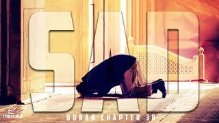 SAD ص  POWERFUL QURAN  SALMAN AL UTAYBI [upl. by Enyehc]