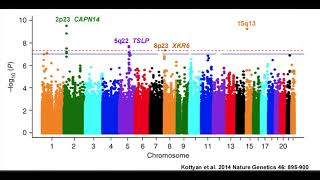 Understanding Manhattan Plots and Genomewide Association Studies [upl. by Daniele]