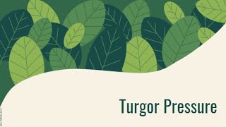 Turgor Pressure [upl. by Artep336]