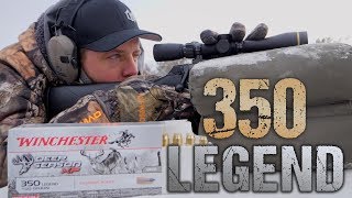 BRAND NEW Gun from Winchester The 350 LEGEND [upl. by Refinaj]