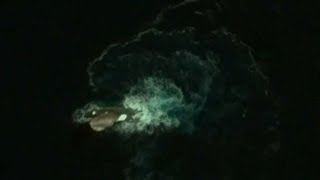 10 Mysterious Deep Sea Creatures Spotted On Google Earth [upl. by Adahs]