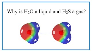 Why is H2O a liquid and H2S a gas [upl. by Narrad]