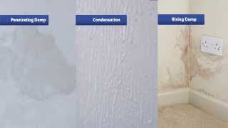 How to Find and Fix Your Damp Problems [upl. by Adnoloy]