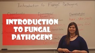 Introduction to Fungal Pathogens [upl. by Bedelia227]