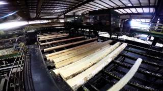 Collums Lumber Products LLC  Sawmill Tour [upl. by Allista]