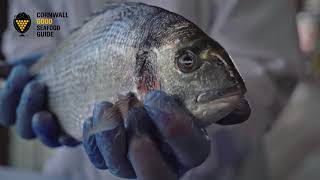 How to fillet a gilthead sea bream [upl. by Ohploda]