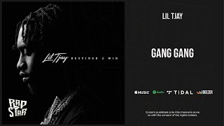 Lil Tjay  Gang Gang Destined 2 Win [upl. by Alaet]