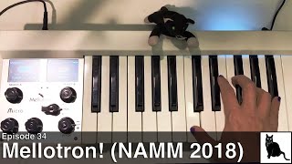 NAMM 2018 Mellotron [upl. by Levina]