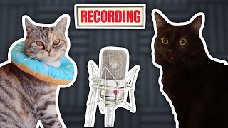 Updating the Cats Theme Song [upl. by Avika]