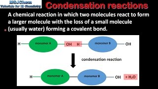 B1 Hydrolysis and condensation reactions SL [upl. by Georglana571]