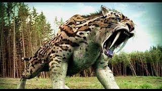 National geographic Documentary  Prehistoric predators  Beficompta [upl. by Hubbard733]