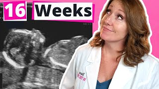 16 Weeks What to Expect  16 week Ultrasound [upl. by Aeriela]