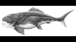 The Dunkleosteus [upl. by Hyams]