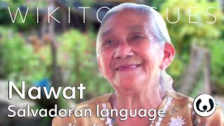 The Nahuat language casually spoken  Nantzin speaking Nawat  Wikitongues [upl. by Uriel568]