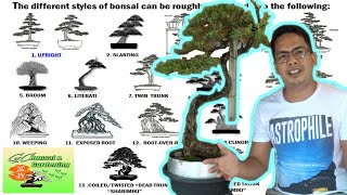 The different Styles of Bonsai Explained Beginners Guide [upl. by Linetta]