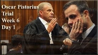 Oscar Pistorius Trial  Answering the Key Questions  Crime Investigation Documentary  Documental [upl. by Sualkcin]