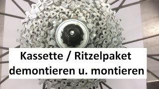 Shimano Kassette  Ritzelpaket wechseln  demontieren und montieren [upl. by Zoubek856]