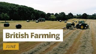 British Farming  12 Months On A UK Farm June [upl. by Niwdog44]