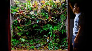 Giant DIY 600 Gallon Jungle Vivarium [upl. by Ahsiryt914]