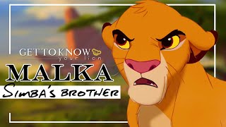 MALKA  Simbas Brother  GET TO KNOW YOUR LION [upl. by Afatsom]