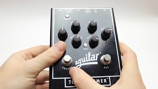 Aguilar Tone Hammer Review [upl. by Neelhtak]