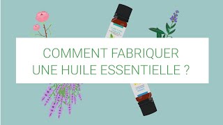 Comment fabriquer une huile essentielle [upl. by Gusty]