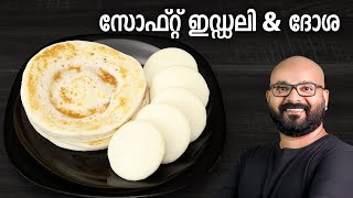 സോഫ്റ്റ് ഇഡ്ഡലി amp ദോശ  Soft Idli amp Dosa Recipe  Easy amp Perfect Idli Dosa Batter [upl. by Banna405]