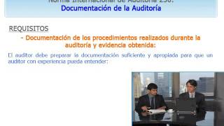 NIA 230 Documentación de auditoría [upl. by Caitrin976]