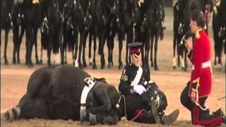 Beating Retreat 2013 The Household Cavalry Mounted Band [upl. by Roti]